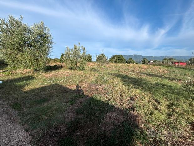 Terreno en Paliano, Italy 15000 m² No. 281530