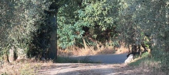 Terreno en Paliano, Italy 15000 m² No. 281530 5