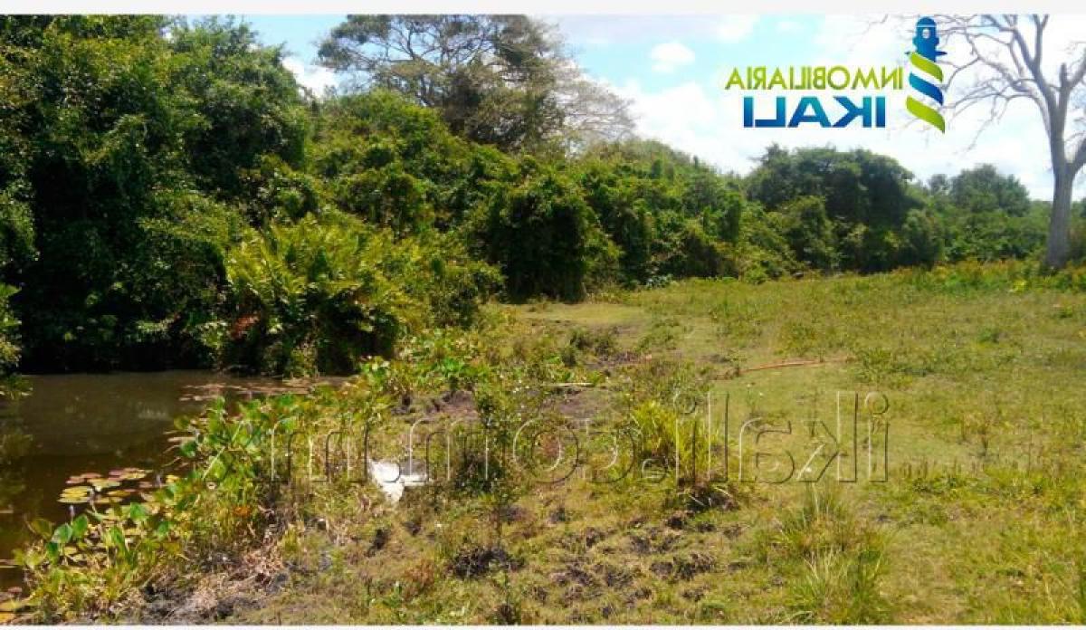  Land in Veracruz, Mexico No. 203504