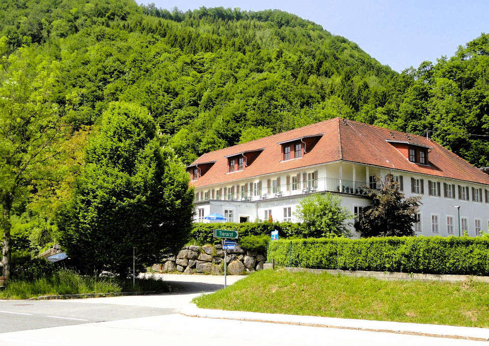 22 rooms Hotel in Grossraming, Austria No. 134682