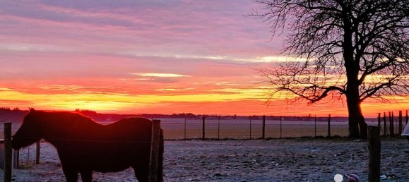 3 chambres Maison à Nonvilliers-Grandhoux, France No. 219004 36