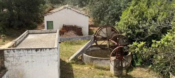  قطعة أرض في Pechao, Portugal 55880متر مربع رقم 67951 3