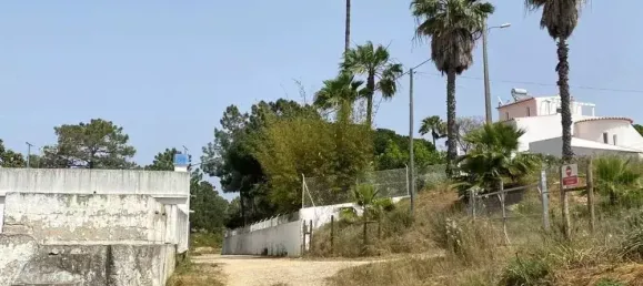  قطعة أرض في Pechao, Portugal 55880متر مربع رقم 67951 10