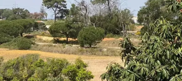  قطعة أرض في Pechao, Portugal 55880متر مربع رقم 67951 2