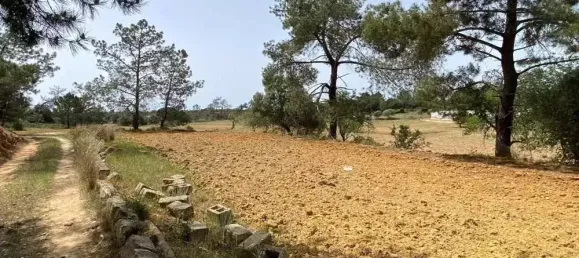  قطعة أرض في Pechao, Portugal 55880متر مربع رقم 67951 9