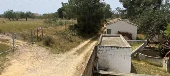  قطعة أرض في Pechao, Portugal 55880متر مربع رقم 67951 5