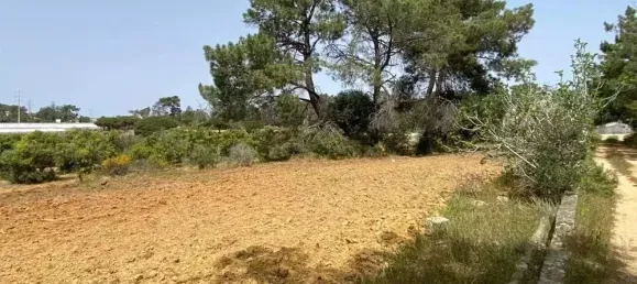  قطعة أرض في Pechao, Portugal 55880متر مربع رقم 67951 8