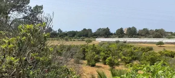  قطعة أرض في Pechao, Portugal 55880متر مربع رقم 67951 7