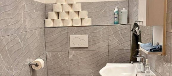 Коммерческая недвижимость с 8 комнатами в Нойхофен им Инкрайс, Австрия № 61896 16