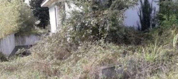 1417m² Building in Bornasco, Italy No. 315031 20