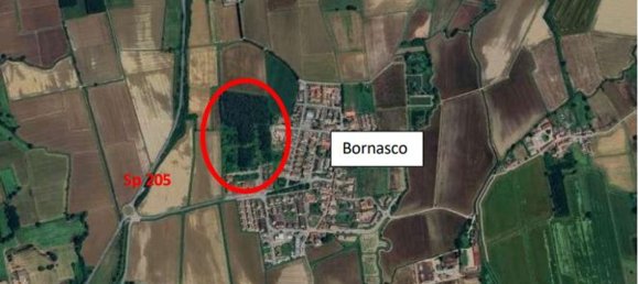 1417m² Building in Bornasco, Italy No. 315031 3