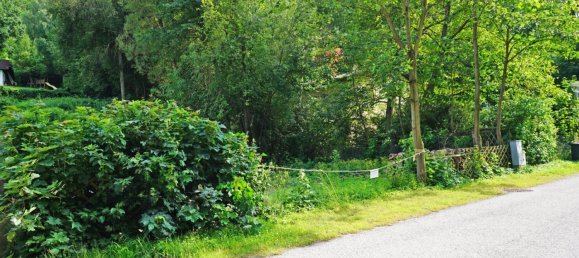  قطعة أرض في Pressbaum, Austria رقم 109772 6