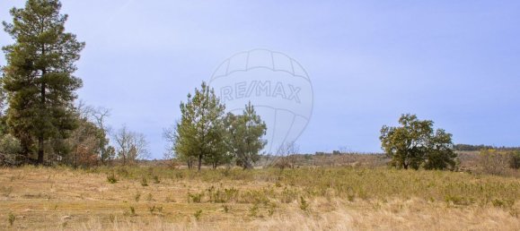 26360m² Land in Penamacor, Portugal No. 76566 3