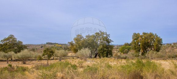 26360m² Land in Penamacor, Portugal No. 76566 5