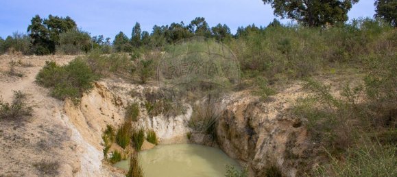 26360m² Land in Penamacor, Portugal No. 76566 4