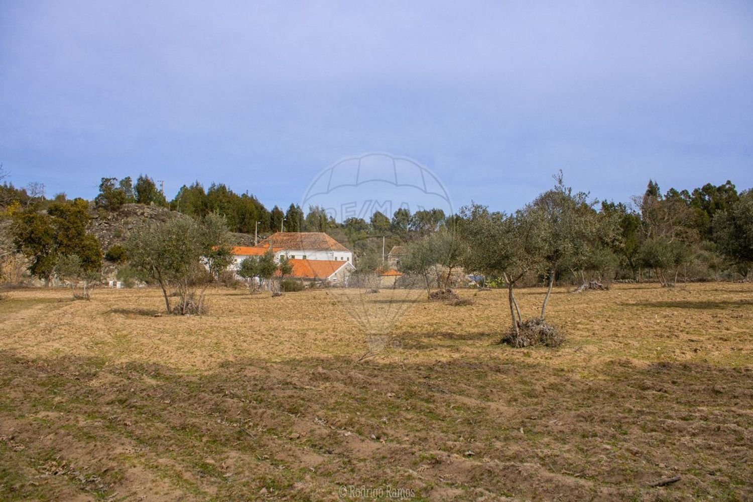 26360m² Land in Penamacor, Portugal No. 76566