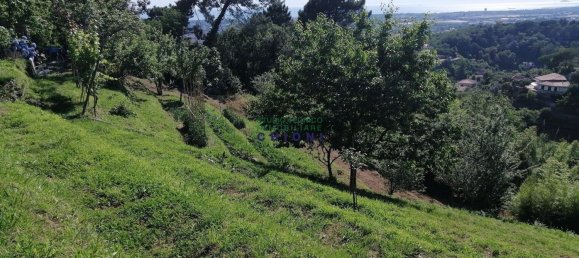 2-Zimmer Schlösser in Massa, Italy, Nr. 115288 9