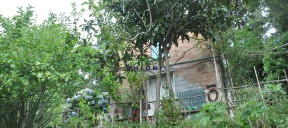 2-Zimmer Schlösser in Massa, Italy, Nr. 115288 4