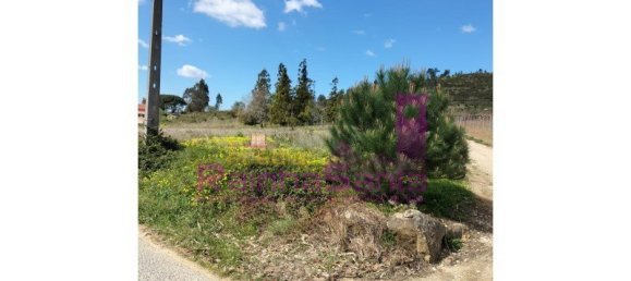 103119m² Land in Torres Vedras, Portugal No. 144632 2