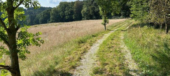  قطعة أرض في Dingolfing-Landau, Germany رقم 327985 3