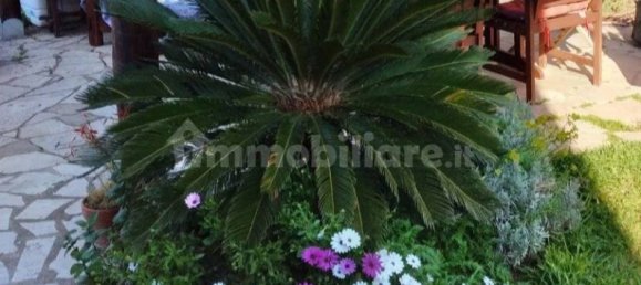 3 bedrooms Villa in Cerveteri, Italy No. 371866 7