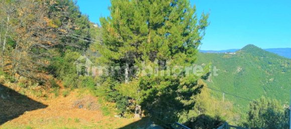 4 bedrooms Apartment in Pentone, Italy No. 92447 9