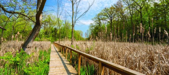 4 bedrooms House in Mississauga, Canada No. 817 5