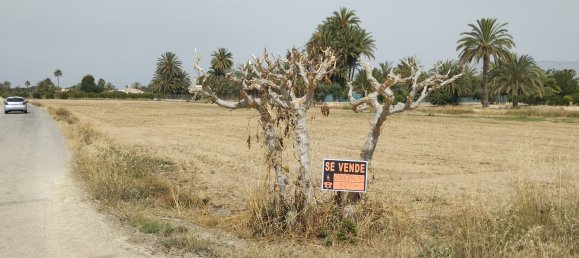  Land in Alicante, Spain No. 160957 3