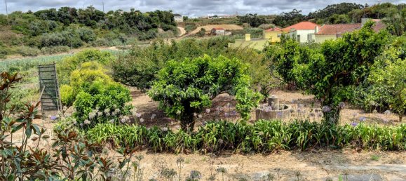 6 bedrooms House in Atouguia da Baleia, Portugal No. 141615 18