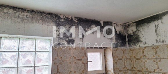 Bungalow de 4 habitaciónes en Vienna, Austria No. 219538 9