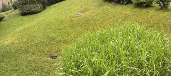 2 bedrooms Apartment in Hof bei Salzburg, Austria No. 251492 10