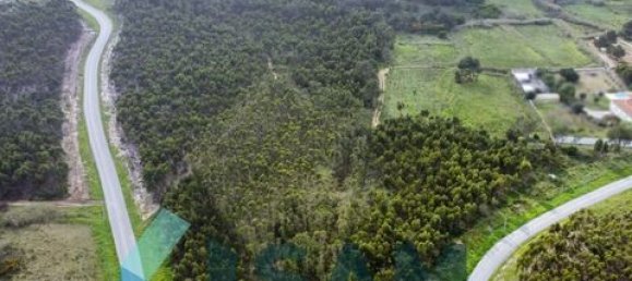  Land in Torres Vedras, Portugal No. 147657 2