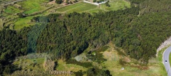  Land in Torres Vedras, Portugal No. 147657 4