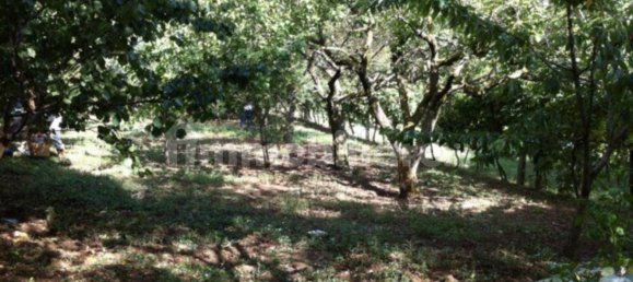 4 bedrooms House in Terre Roveresche, Italy No. 136224 10