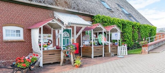 Ферма с 9 комнатами в Харбург, Германия № 166188 5