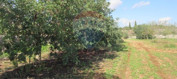 1غرفة قطعة أرض في Noto, Italy رقم 176484 9