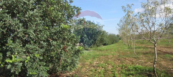 1غرفة قطعة أرض في Noto, Italy رقم 176484 11