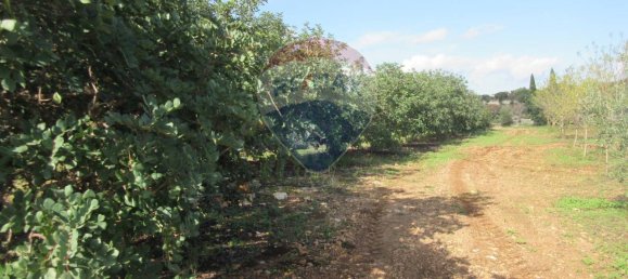 1غرفة قطعة أرض في Noto, Italy رقم 176484 12