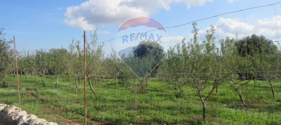 1غرفة قطعة أرض في Noto, Italy رقم 176484 14