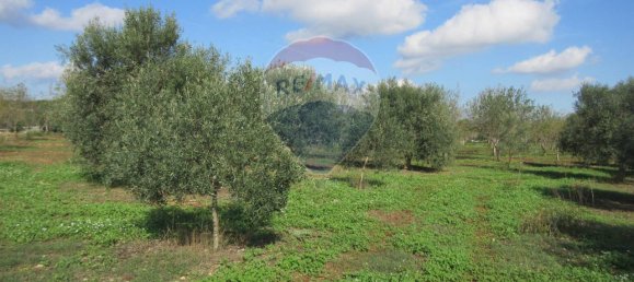 1غرفة قطعة أرض في Noto, Italy رقم 176484 5