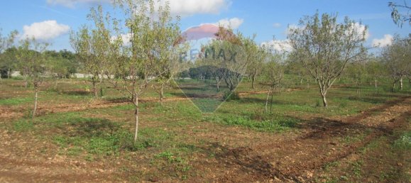 1غرفة قطعة أرض في Noto, Italy رقم 176484 7