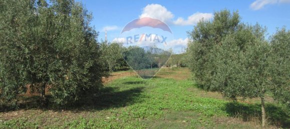 1غرفة قطعة أرض في Noto, Italy رقم 176484 6