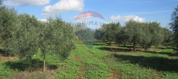 1غرفة قطعة أرض في Noto, Italy رقم 176484 4