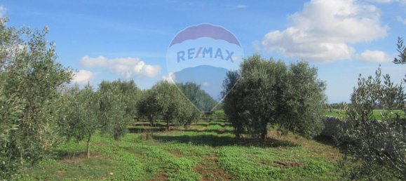 1غرفة قطعة أرض في Noto, Italy رقم 176484 3