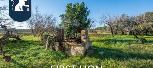 10 rooms Villa in Arnesano, Italy No. 30316 22