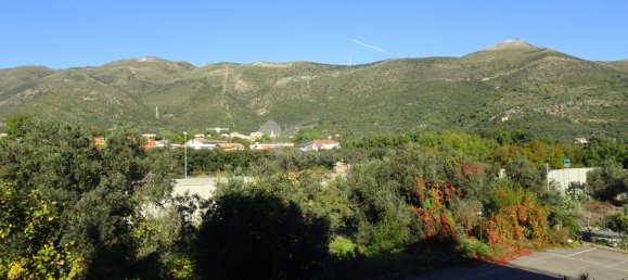 Studio in Ceriale, Italy No. 167689 3