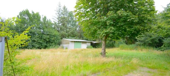 Земельный участок в Дитмаршен, Германия № 34033 3