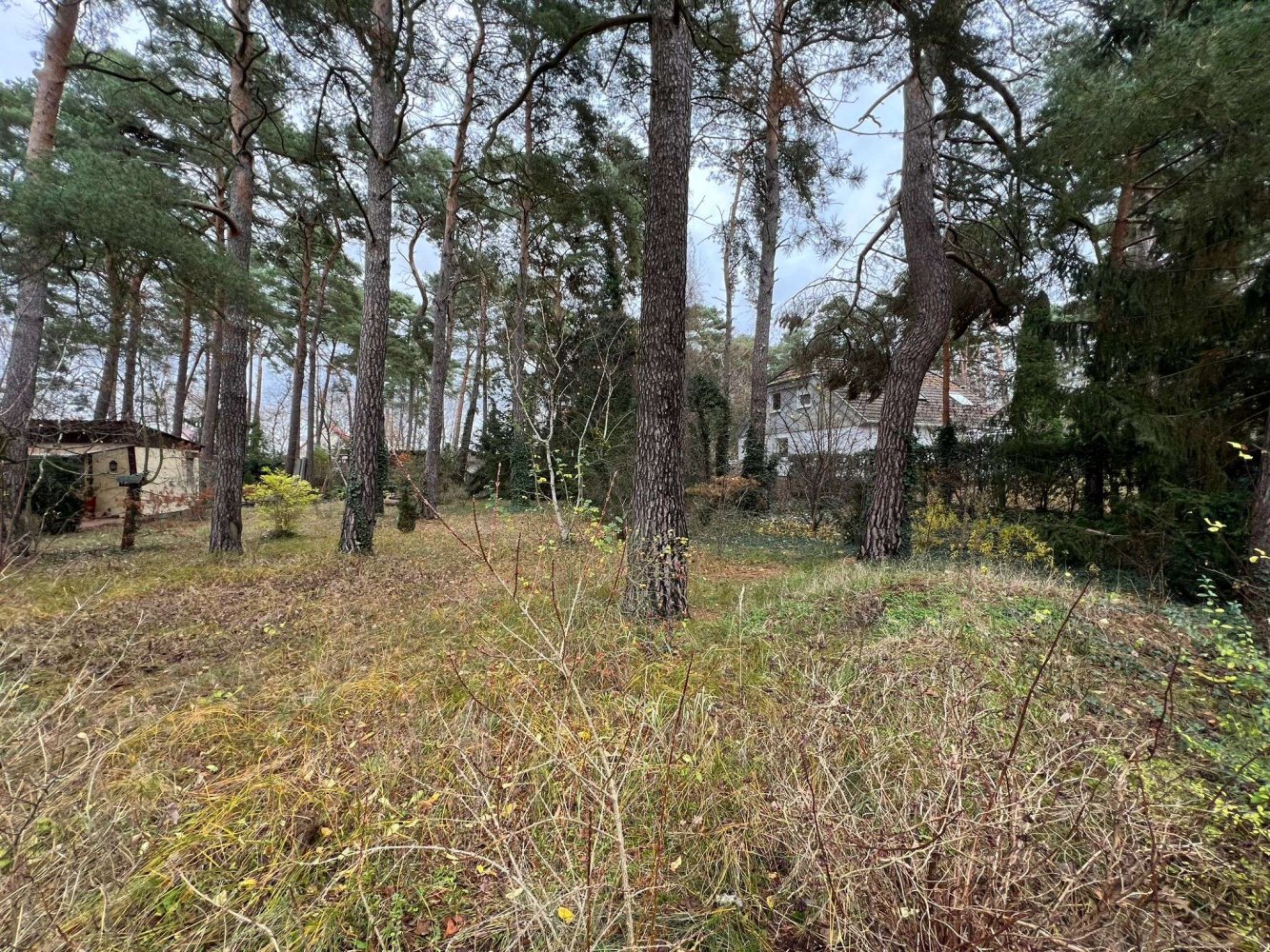  Land in Teltow-Flaming, Germany No. 248419