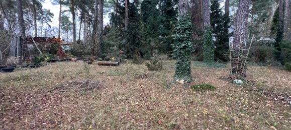  Land in Teltow-Flaming, Germany No. 248419 3