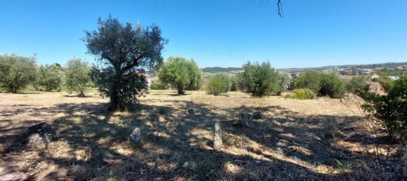 2033m² Land in Ourem, Portugal No. 92341 9
